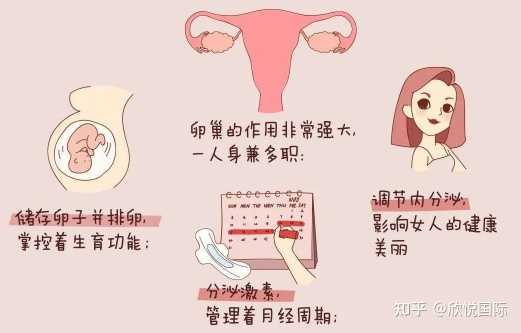 广州代妈助孕公司地址,代妈三代试管婴儿的费用构成是什么？?,代妈做第三代试
